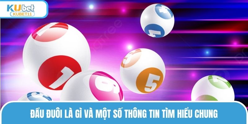 Đầu đuôi là gì và một số thông tin tìm hiểu chung