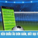 Cách Vào Tiền Kèo Châu Âu Đơn Giản, Bất Bại Từ Cao Thủ 
