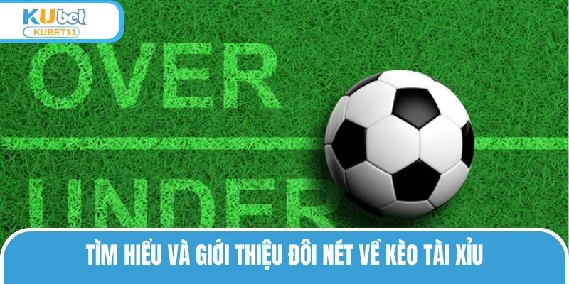 Tìm hiểu và giới thiệu đôi nét về kèo Tài Xỉu