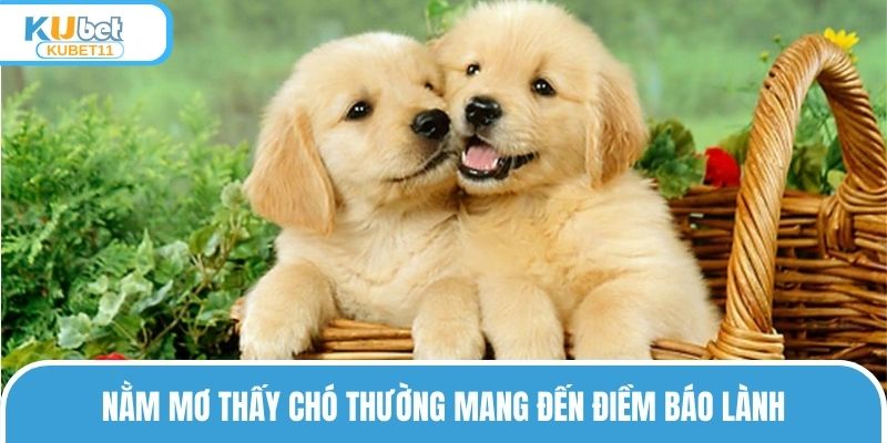 Nằm mơ thấy chó thường mang đến điềm báo lành