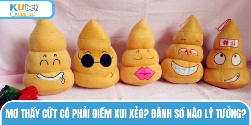 Mơ Thấy Cứt Có Phải Điềm Xui Xẻo? Đánh Số Nào Lý Tưởng?