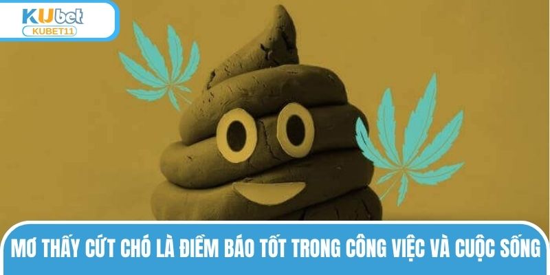 Mơ thấy cứt chó là điềm báo tốt trong công việc và cuộc sống