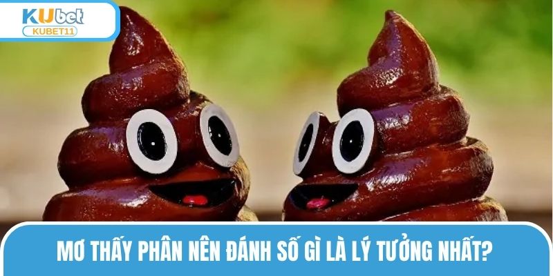 Mơ thấy phân nên đánh số gì là lý tưởng nhất?