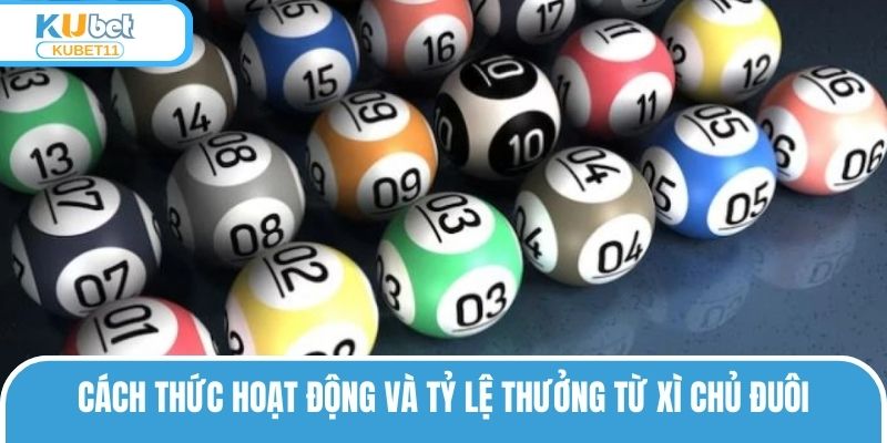Cách thức hoạt động và tỷ lệ thưởng từ xì chủ đuôi